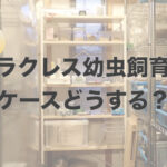 ヘラクレス幼虫飼育におけるケースについて