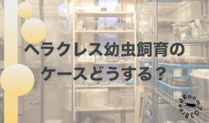ヘラクレス幼虫飼育におけるケースについて