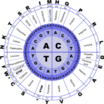 ヘラクレス血統備忘録
