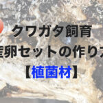 クワガタ産卵セットの作り方【植菌材を使う方法】