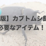【決定版】カブトムシ飼育に必要なもの！ブリーダーが教えます。