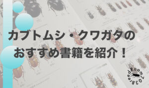 カブトムシ・クワガタのおすすめ本や図鑑を紹介します！