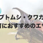 カブトムシ・クワガタ飼育におすすめのエサを紹介します！