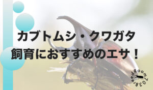 カブトムシ・クワガタ飼育におすすめのエサを紹介します！
